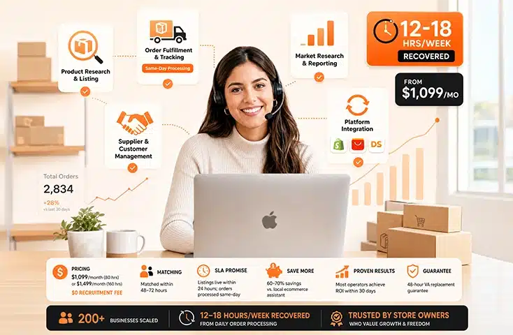 Virtual assistant for dropshipping services for online store owners handling order fulfillment and supplier management .